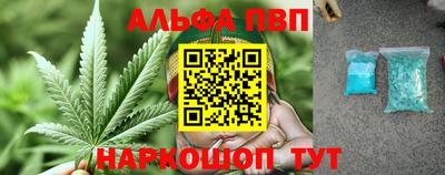 a pvp Гатчина
