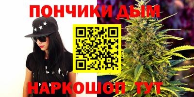 a pvp Гатчина