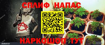 a pvp Гатчина