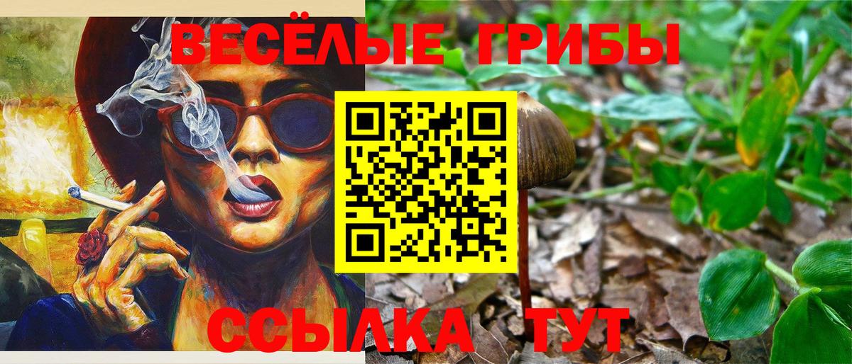купить  сайты  Галлюциногенные грибы мухоморы  Вход с VPN  Можга 